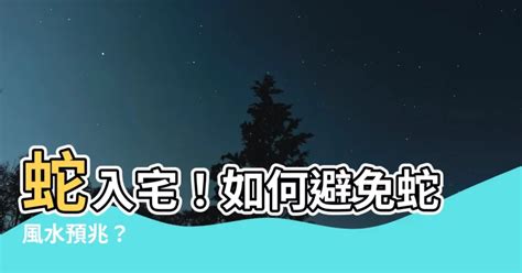 晚上看到蛇代表什麼|深夜蛇入宅，風水大師解析